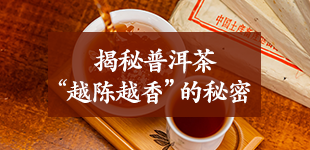 揭秘普洱茶&ldquo;越陈越香&rdquo;的秘密！